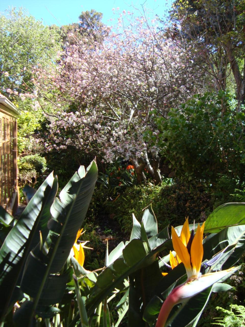 Cap Serein 4* Cape Town